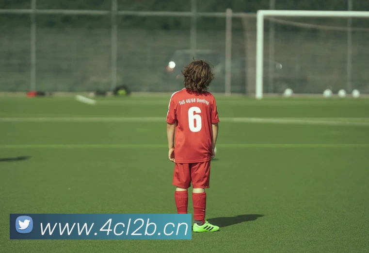 App Interface Preview